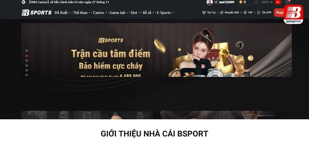 Bsport là nhà cung cấp dịch vụ cá cược trực tuyến châu Á.